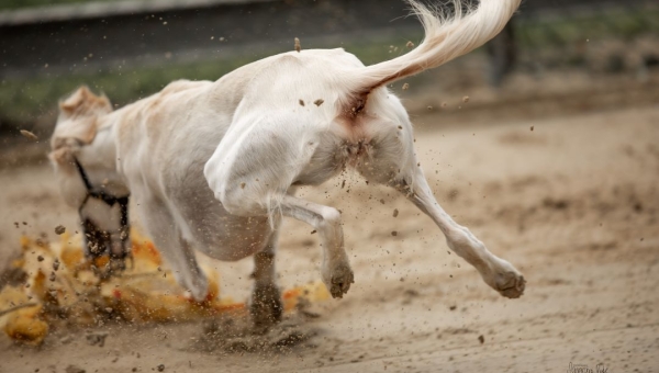 Training am 03.08.2025